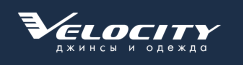 LogoVelocity.png